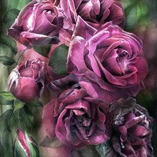 Божественный цветок. Кэрол Каваларис