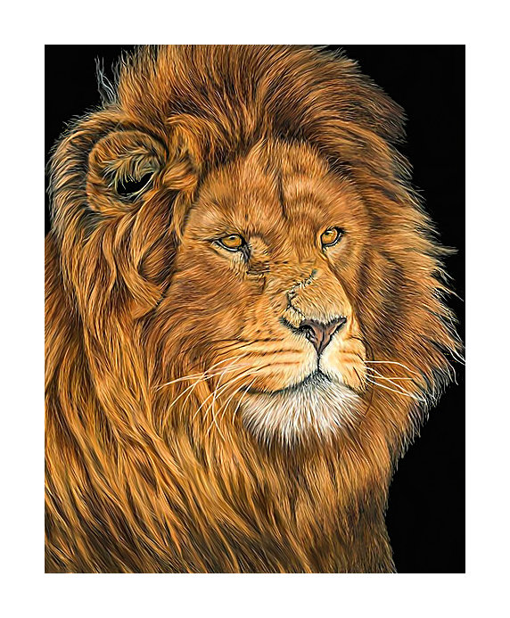 Царь зверей. - живопись, взгляд, лев, хищник - оригинал