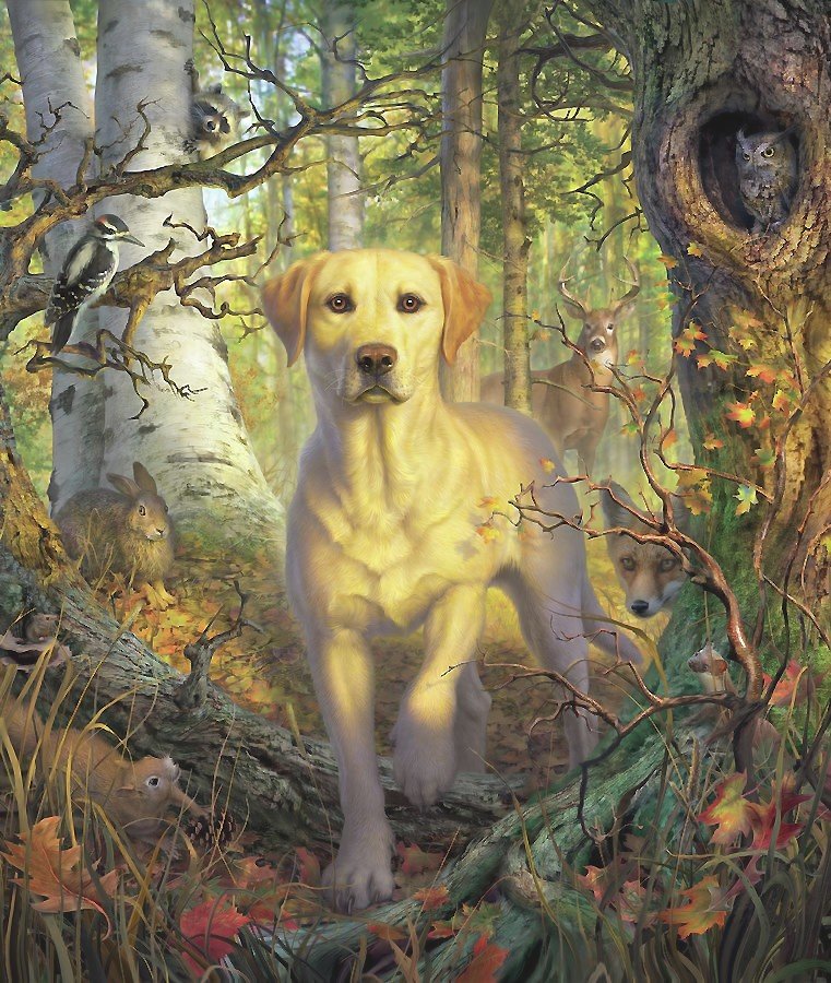 в лесу - мир животных - оригинал