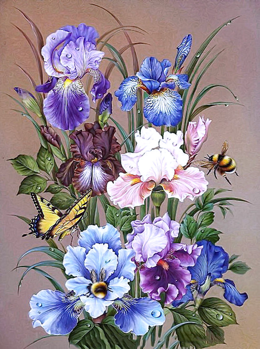 Букет разноцветных ирисов с пчёлами, бабочкой - пчелки, цветы, букет, ирисы, бабочка - оригинал