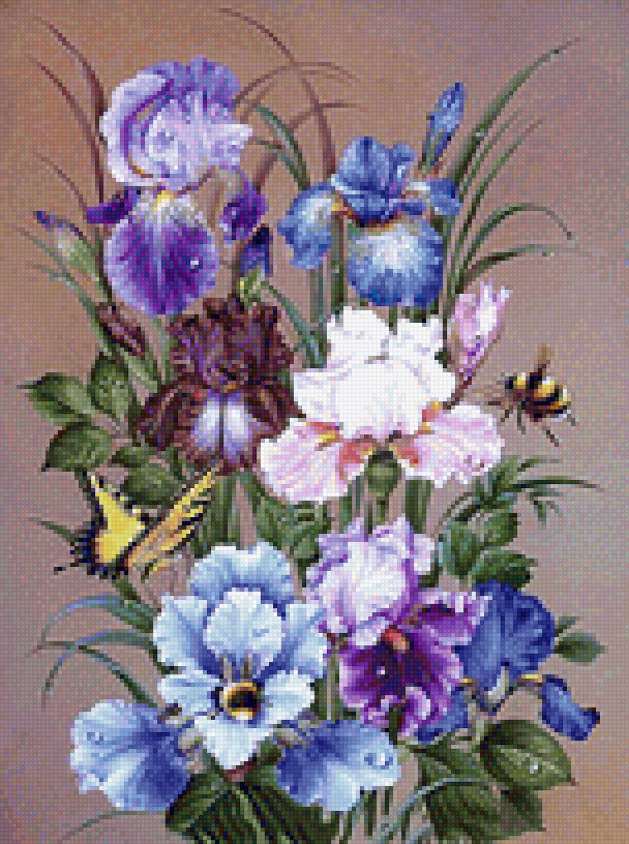 Букет разноцветных ирисов с пчёлами, бабочкой - букет, цветы, ирисы, бабочка, пчелки - предпросмотр