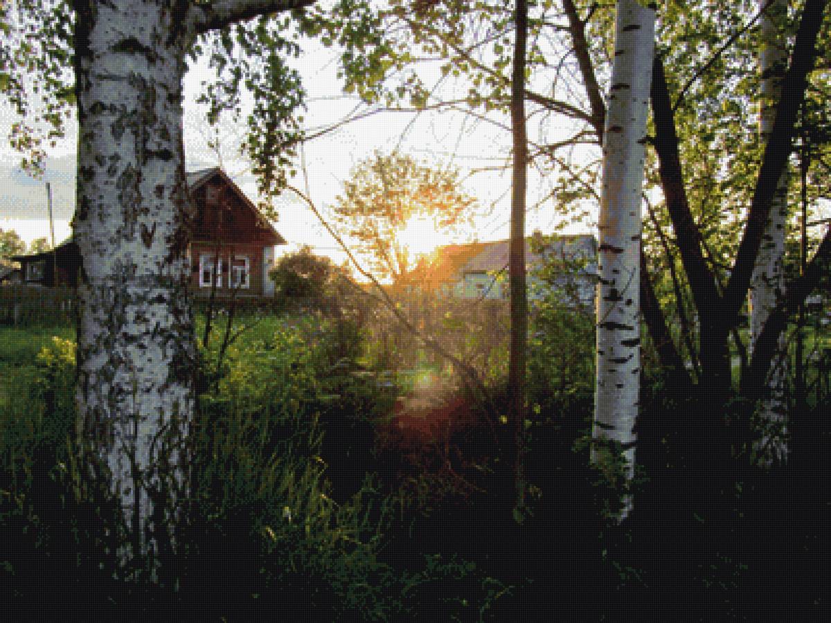 закат в деревне - пнк, фото, закат, лето, деревня, дом, березы - предпросмотр