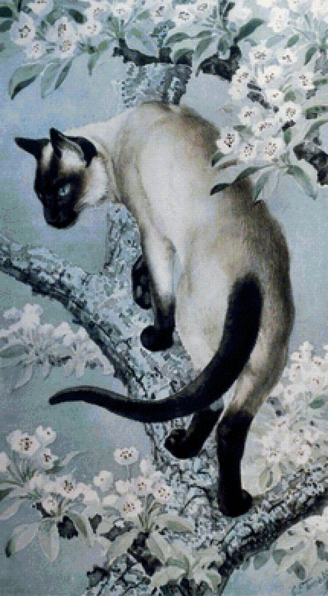 Сиамка на прогулке - кошка, весна - предпросмотр