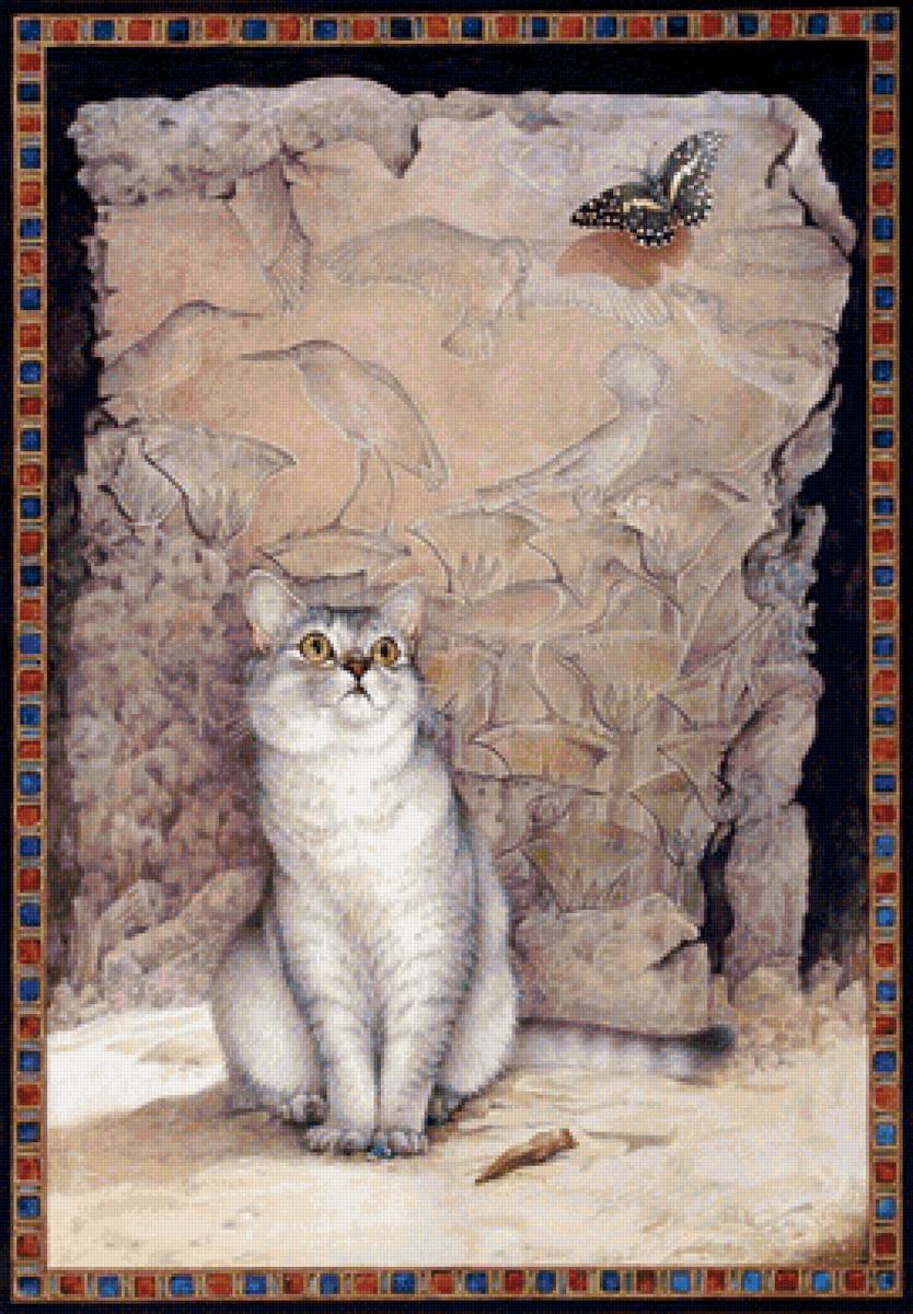 Котик и бабочка - животные, котик, бабочка - предпросмотр