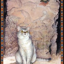 Котик и бабочка