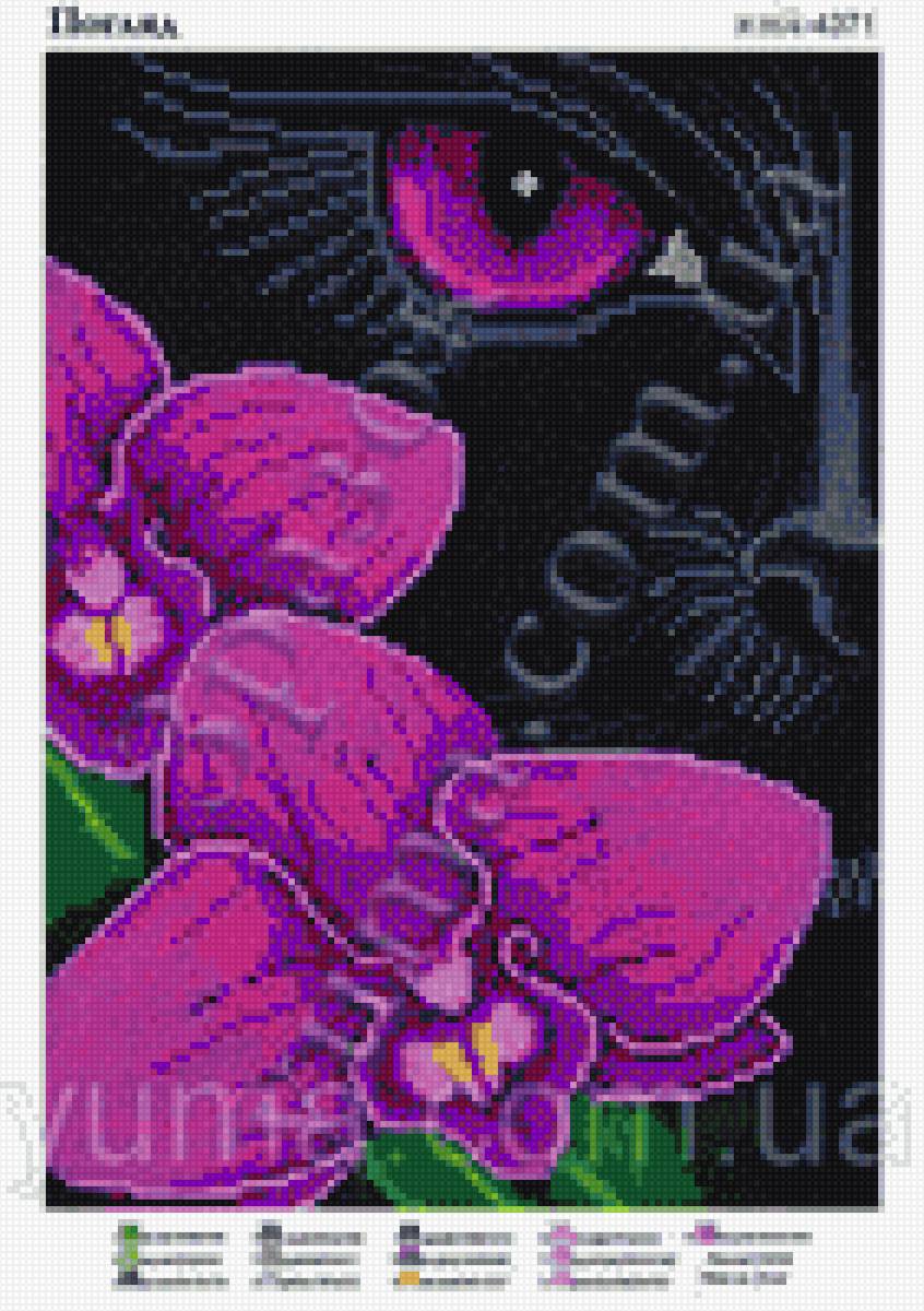 Пума, орхидея, - орхидея, пума, взгляд - предпросмотр