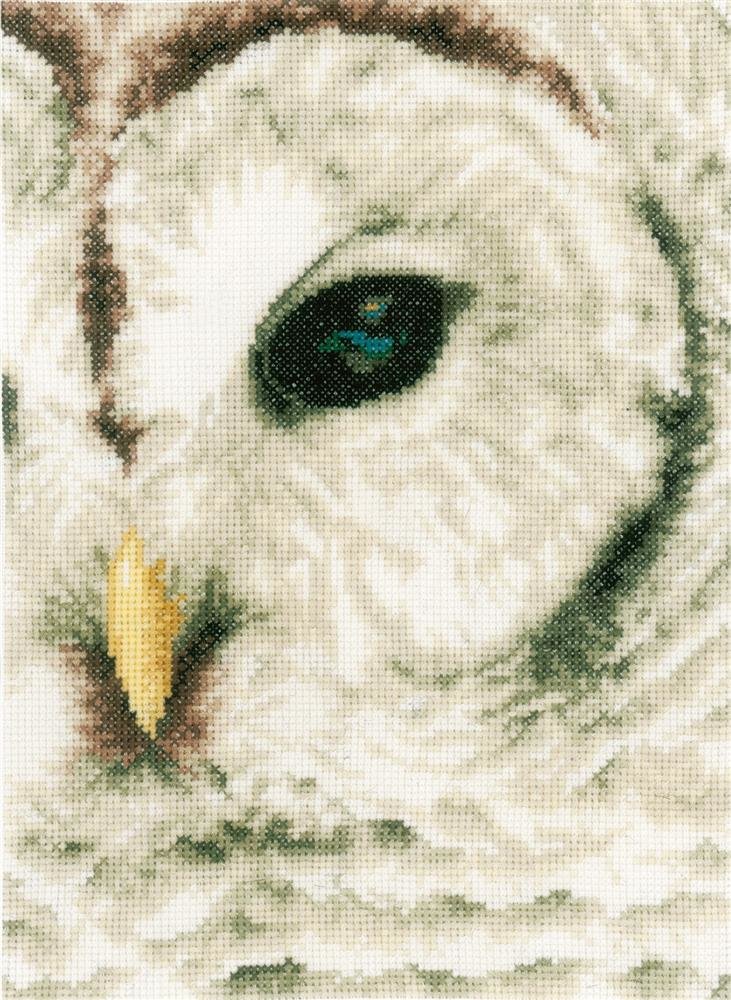 snow owl - сова, snow, owl - оригинал