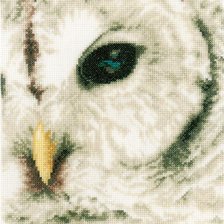 Оригинал схемы вышивки «snow owl» (№2244561)