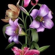 Схема вышивки «№2244923»