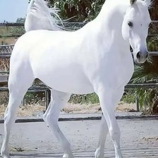 Схема вышивки «№2244924»