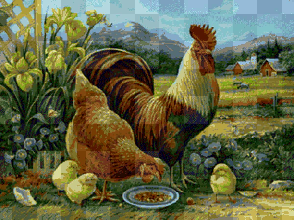 gallo - granja - предпросмотр