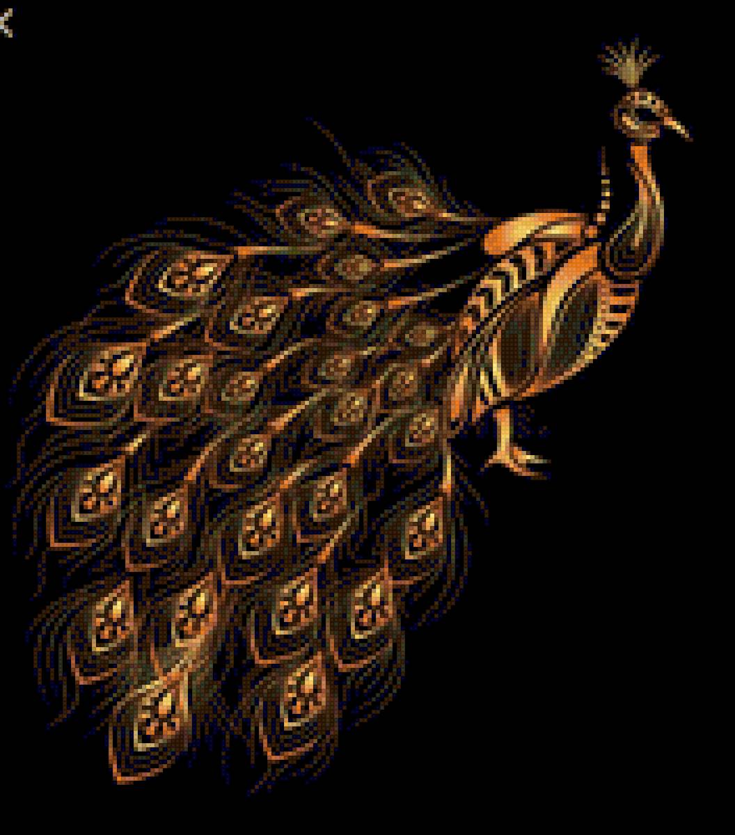 Павлин - павлин, монохром, птицы - предпросмотр