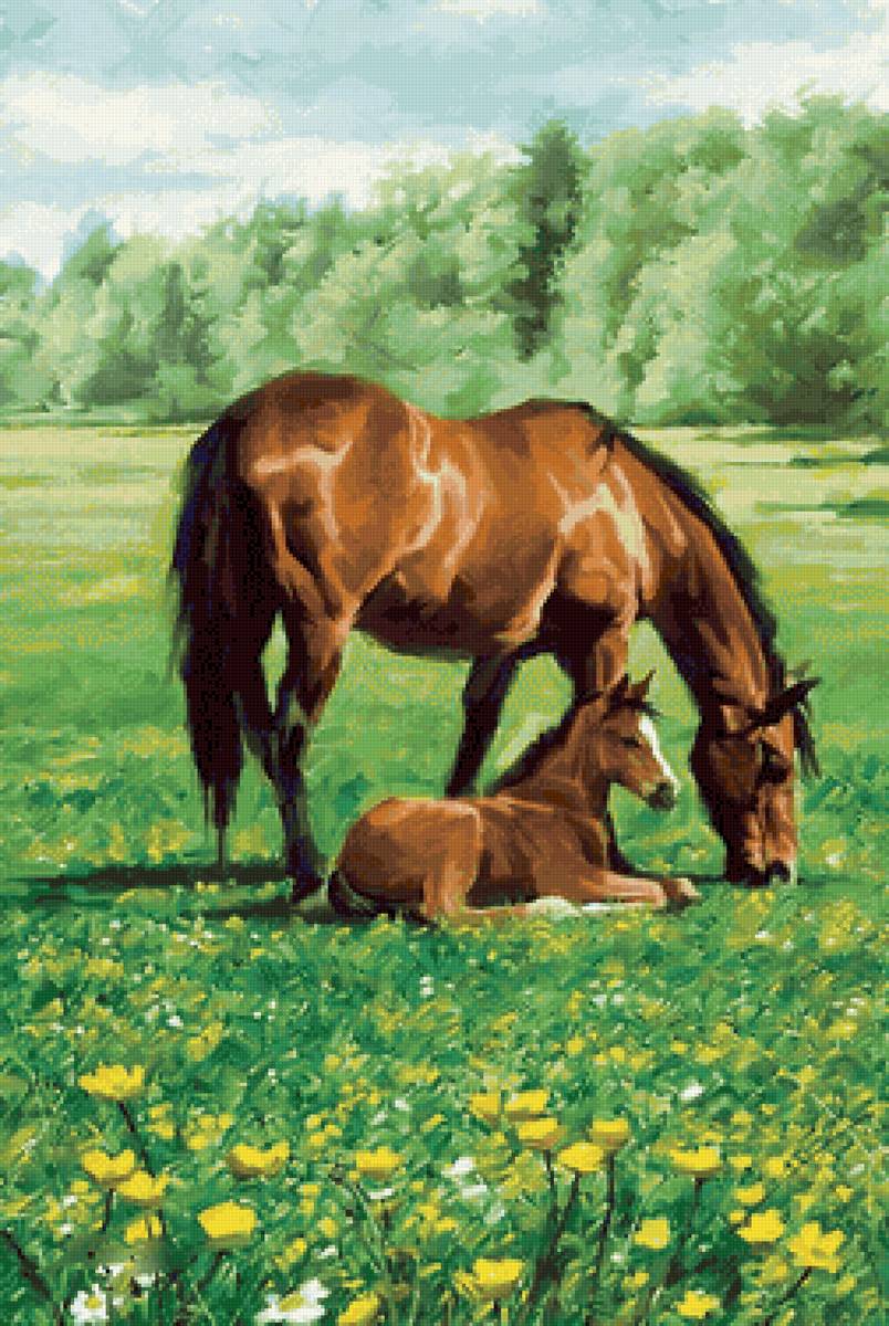 №2245889 - предпросмотр