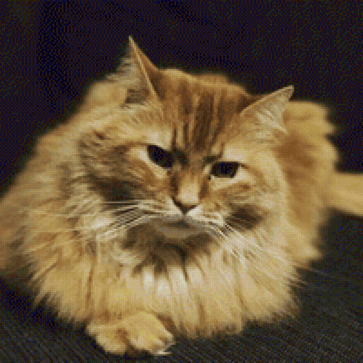 Бонифаций - кот, рыжий кот - предпросмотр