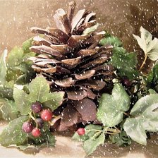 Схема вышивки «Pinecone»