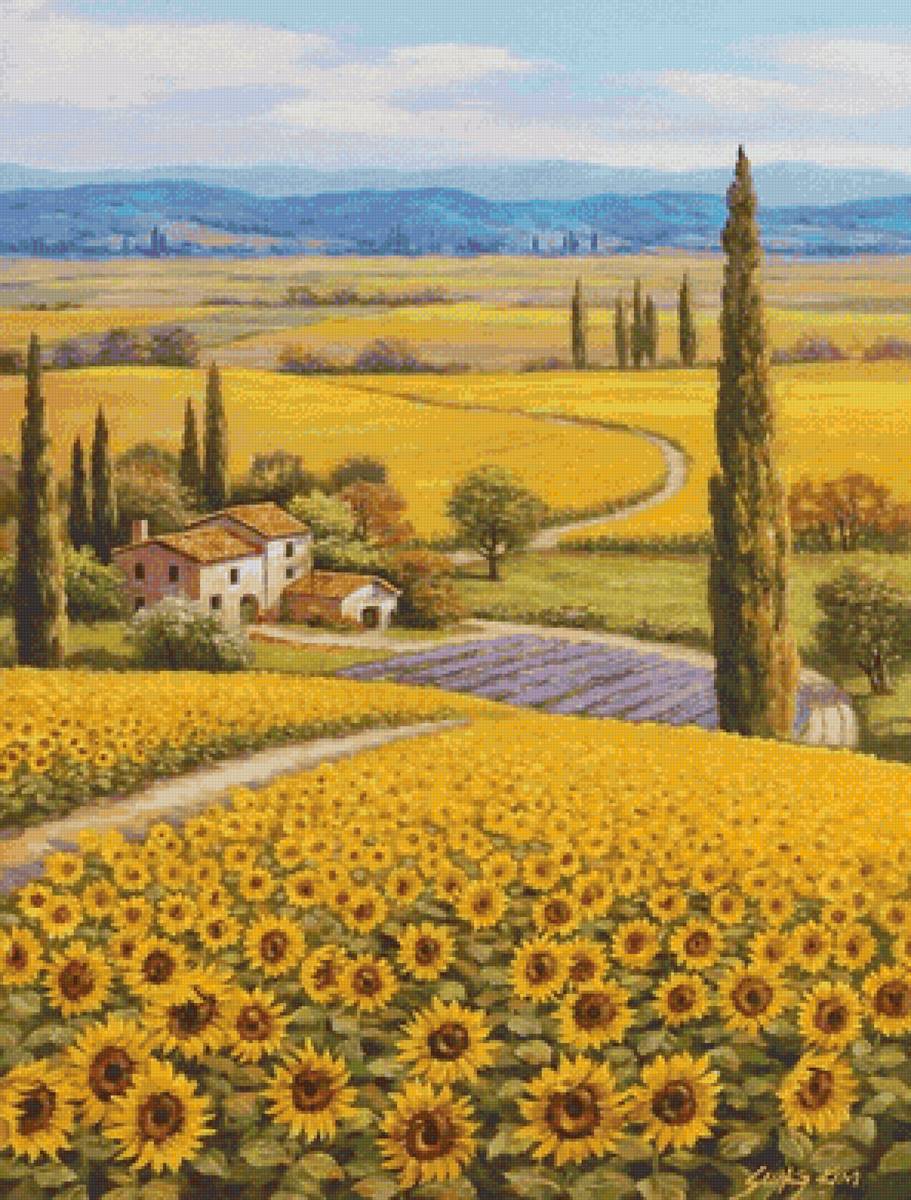 Поле подсолнухов - поле, домик, лето, деревня, природа, подсолнухи - предпросмотр