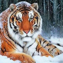 Схема вышивки «дикие»