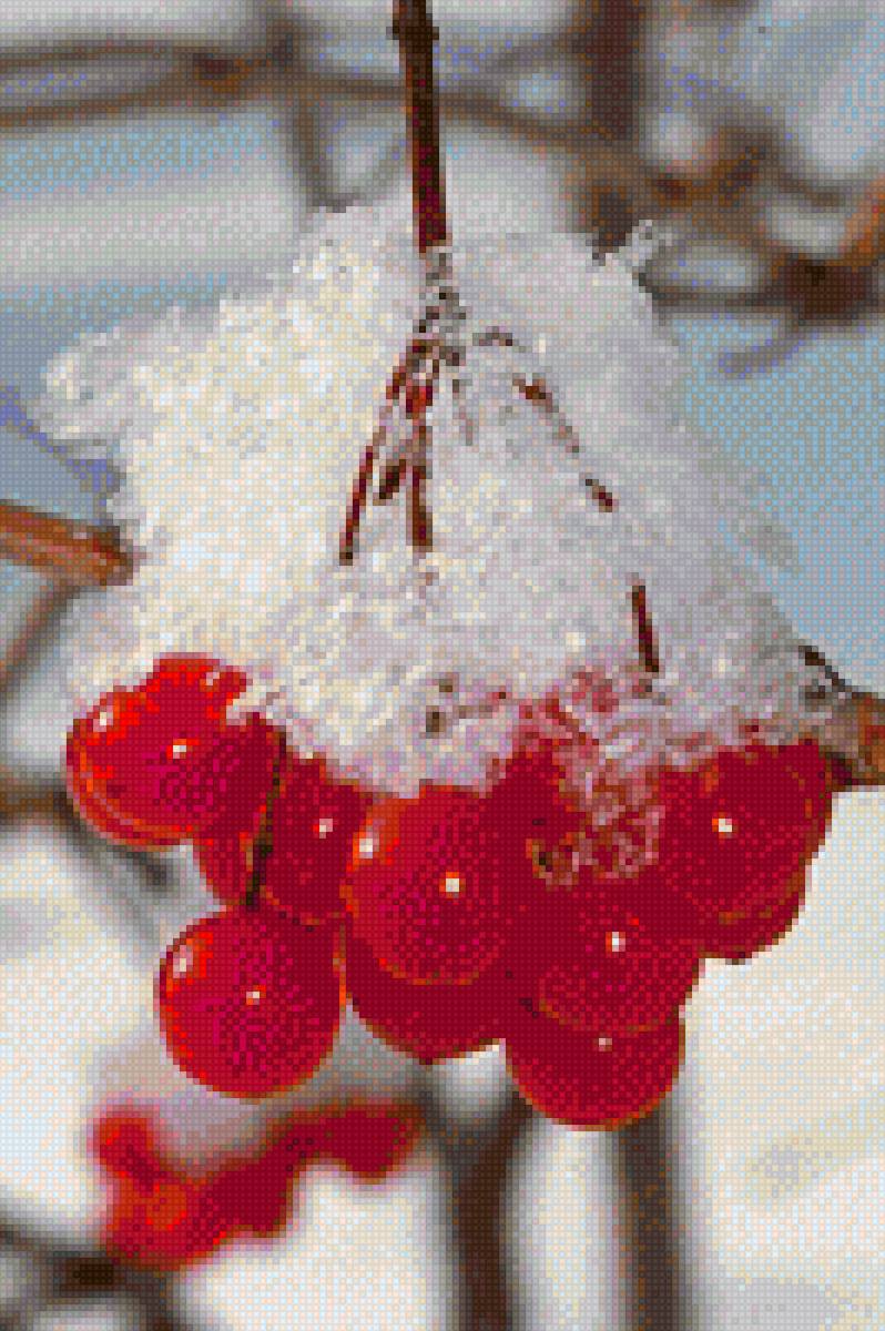 Рябина красная - ягоды, зима, снег - предпросмотр
