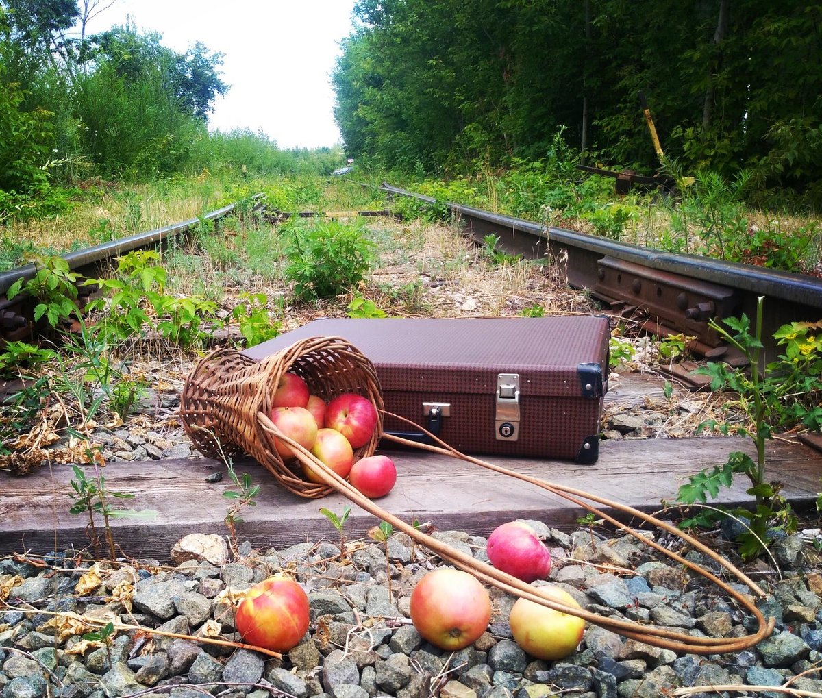 яблоки - железная дорога, яблоки, пейзаж, пнк, природа - оригинал