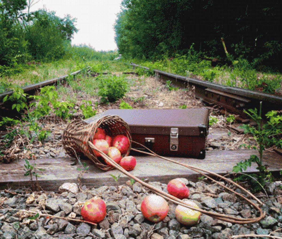 яблоки - природа, пнк, пейзаж, яблоки, железная дорога - предпросмотр