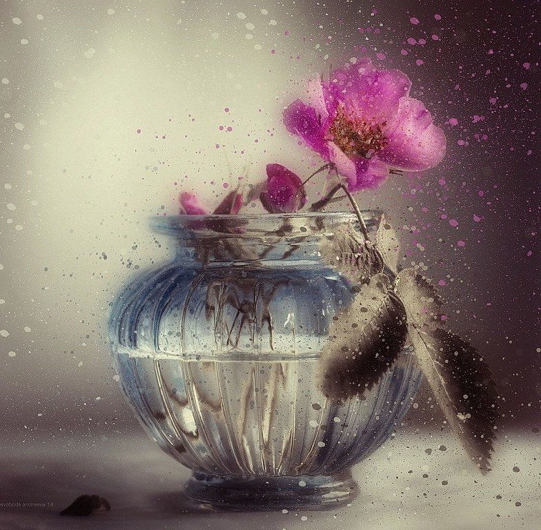 цветок - натюрморт, ваза, пнк, цветок - оригинал