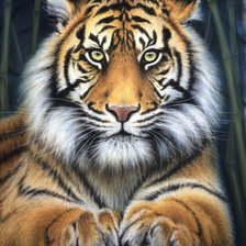 Схема вышивки «дикие»