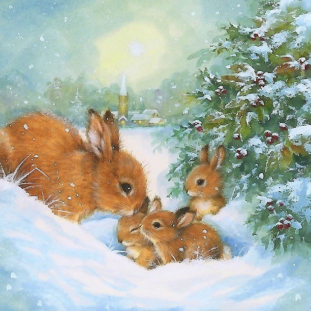 зайцы - мир животных - оригинал