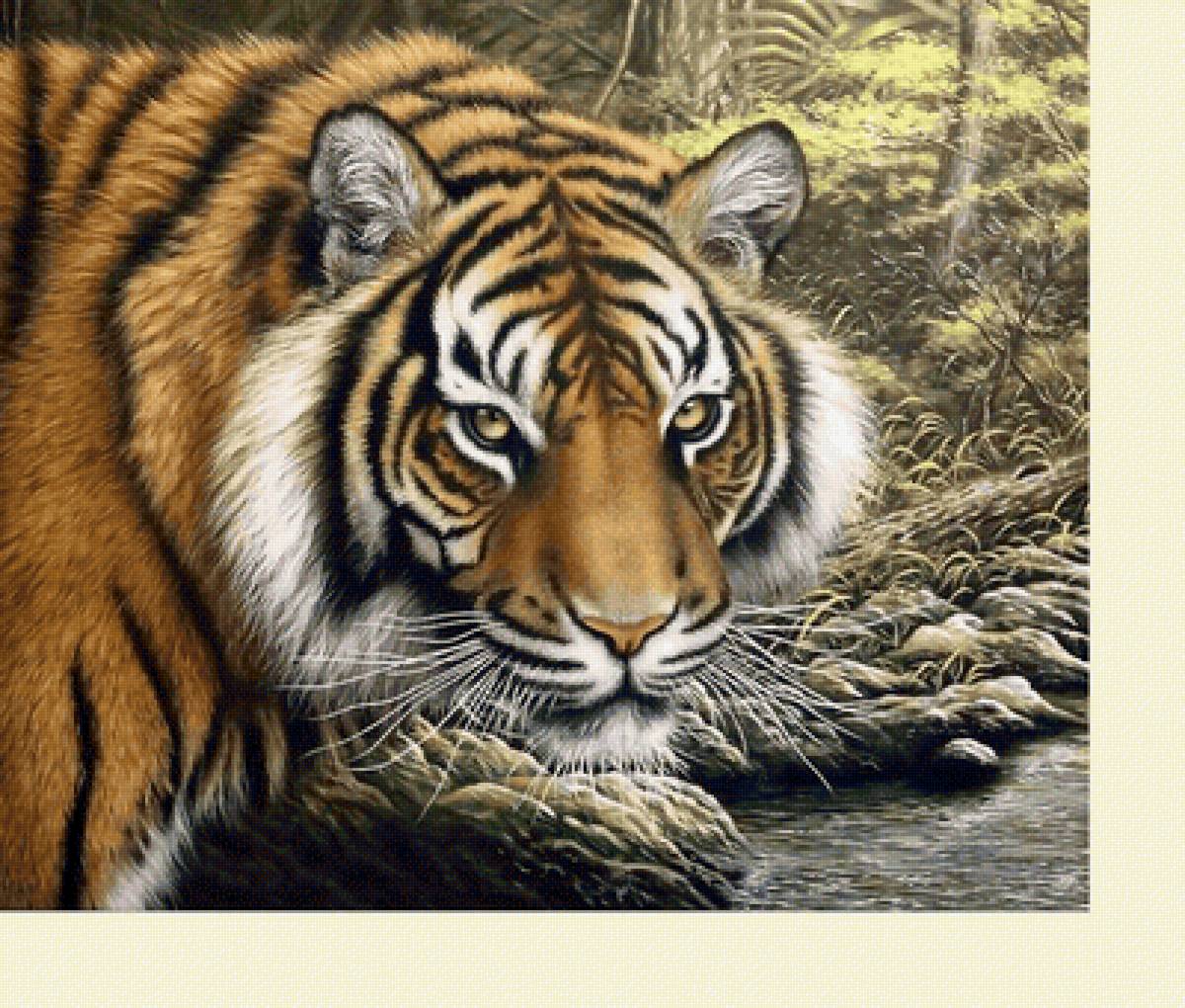 №2249111 - животные, тигр, тигры, хищники - предпросмотр