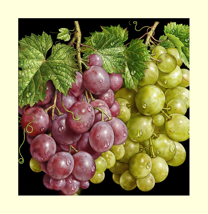 №2249134 - виноград, натюрморт - оригинал
