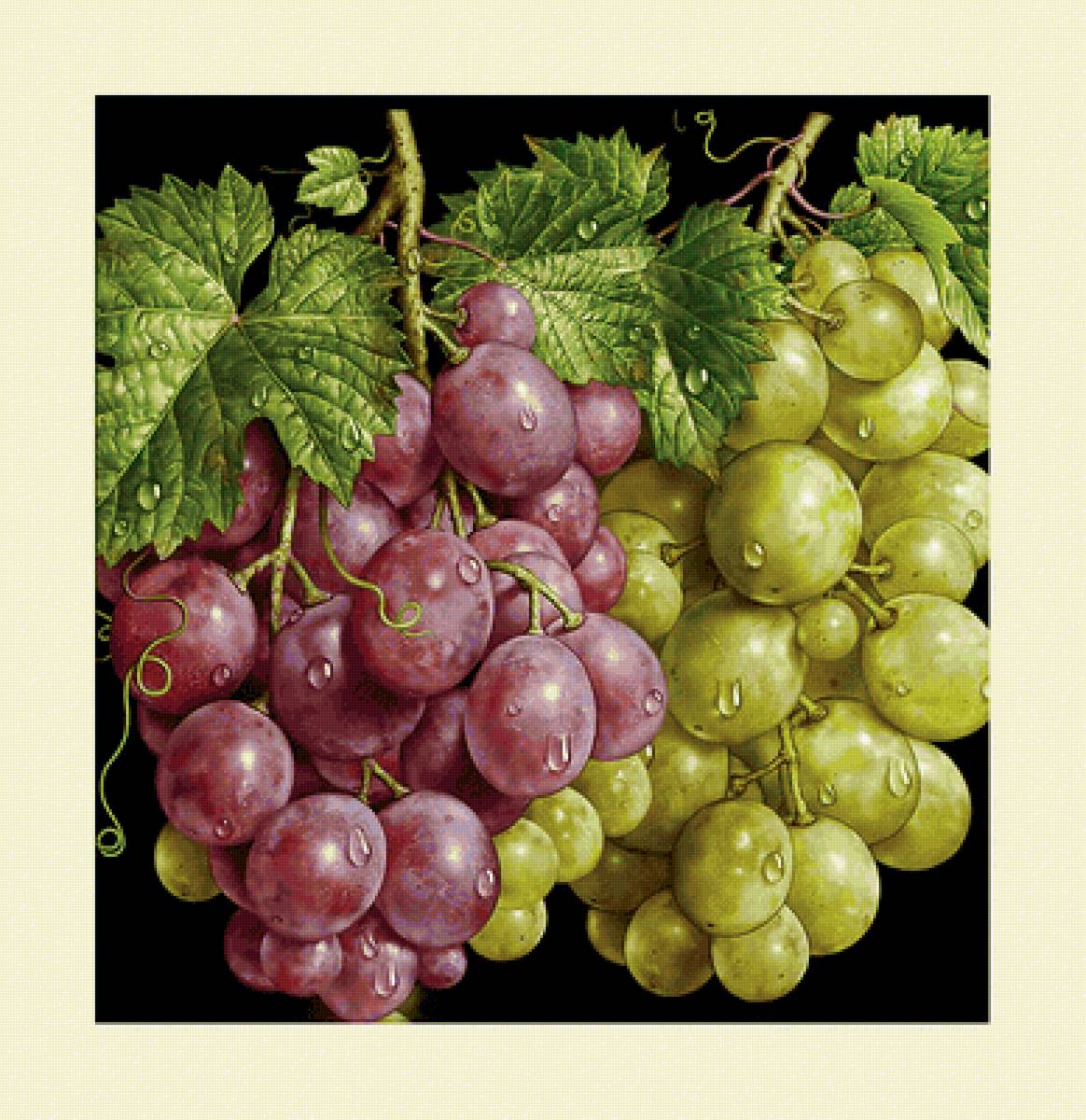 №2249134 - натюрморт, виноград - предпросмотр