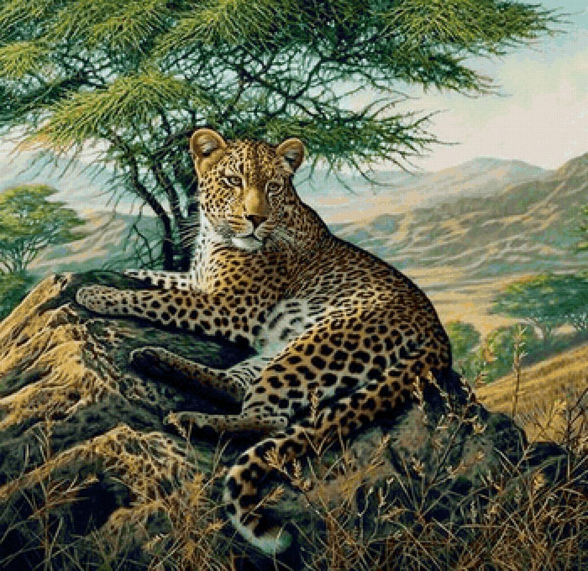 дикие - предпросмотр