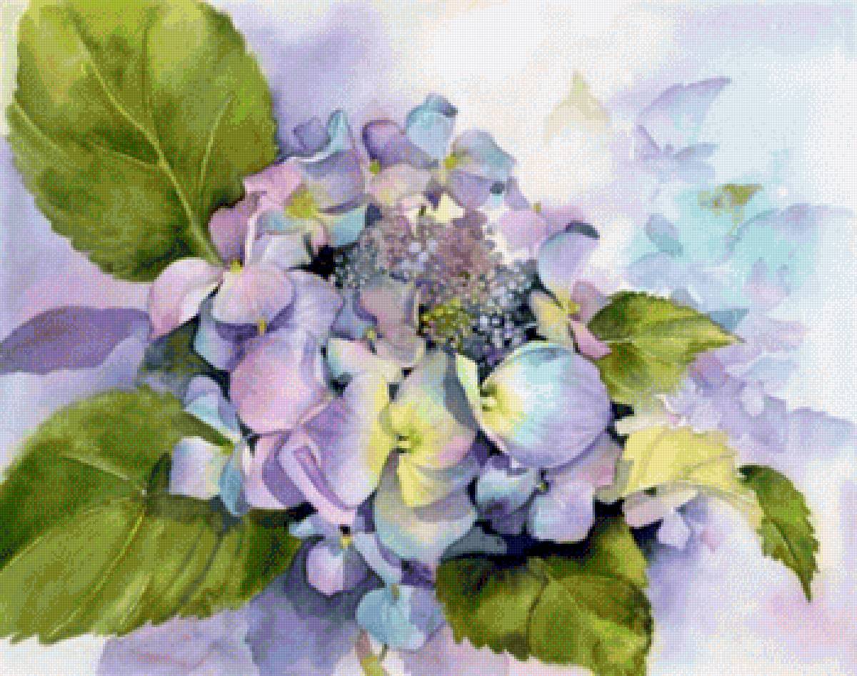 Hydrangea - предпросмотр