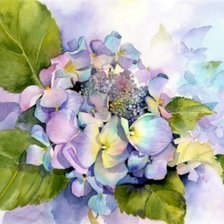 Схема вышивки «Hydrangea»