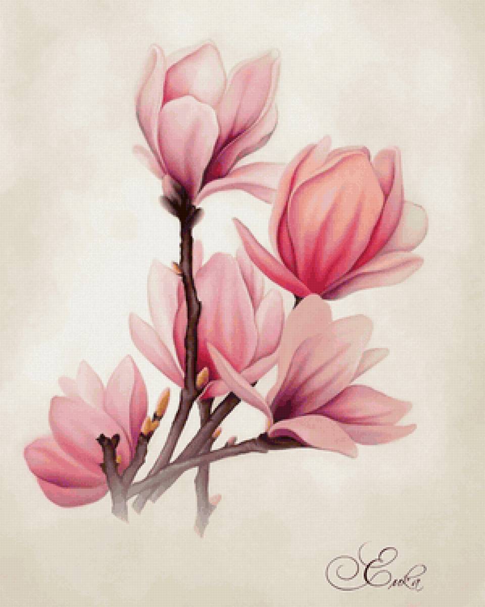 Цветы - цветы - предпросмотр