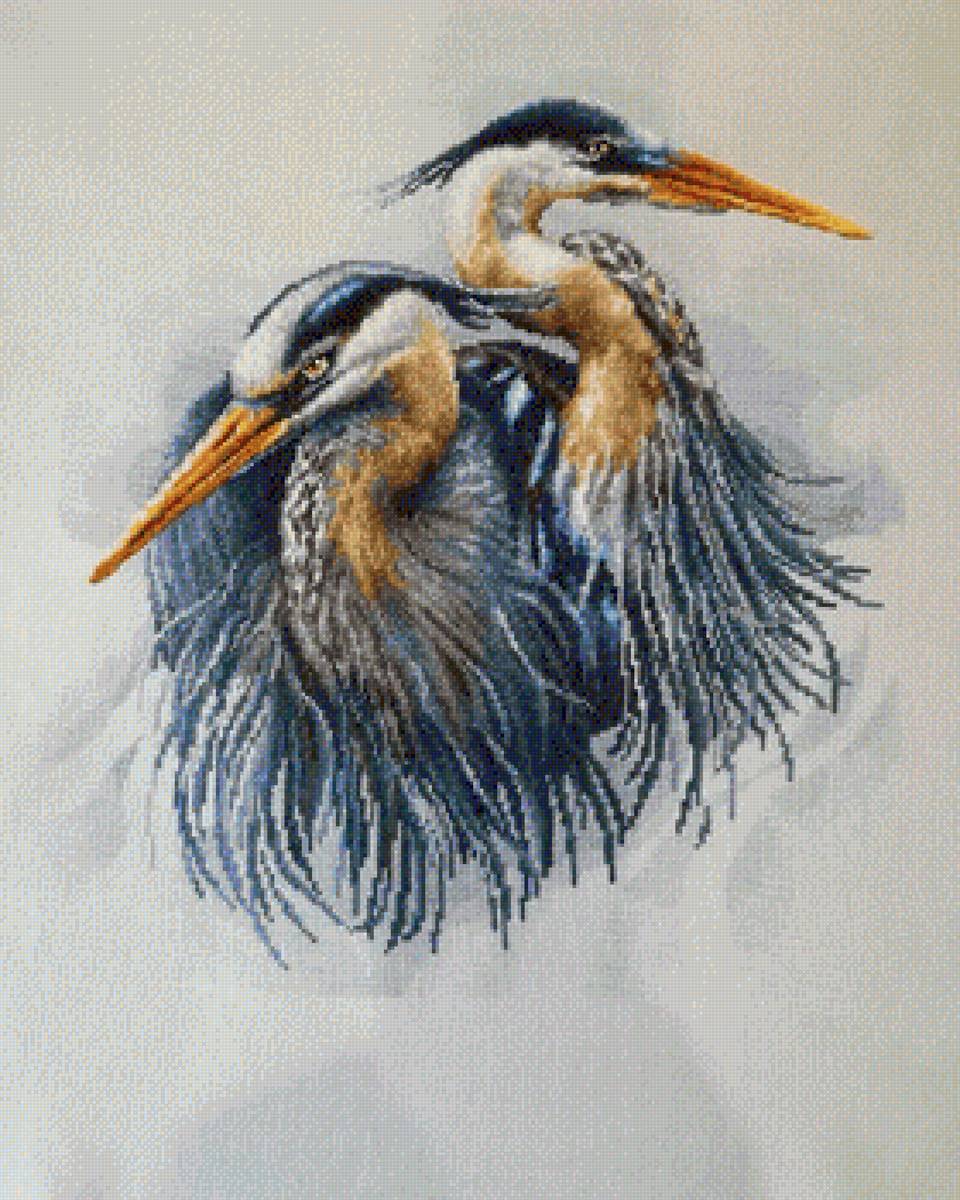 czaple - предпросмотр