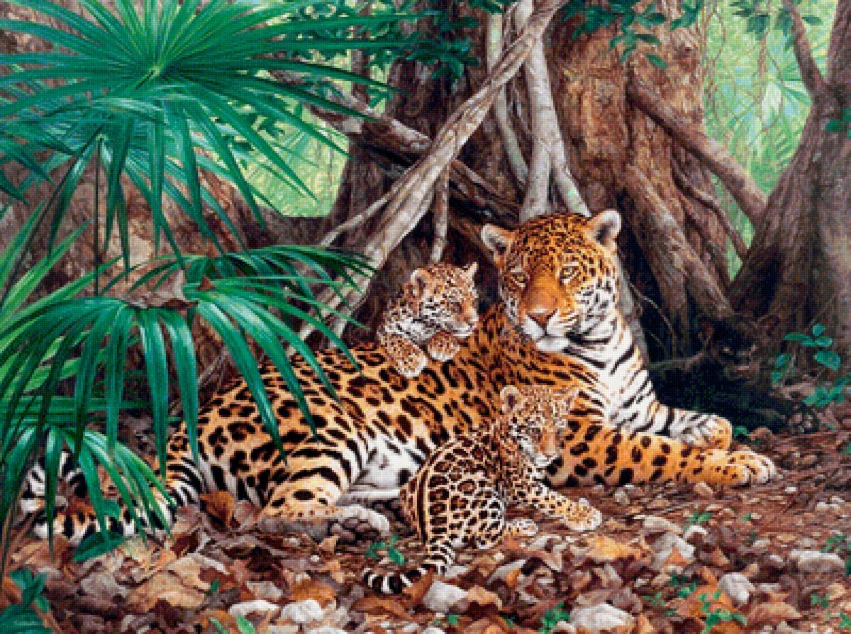 Ягуары в джунглях - предпросмотр
