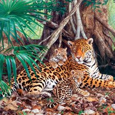 Ягуары в джунглях