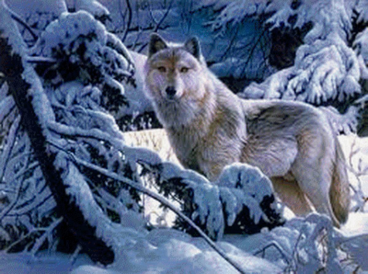 белый волк в лесу - волк, лес, зима - предпросмотр