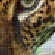 Предпросмотр схемы вышивки «Южно-перуанский пятнистый ягуар» (№2250359)