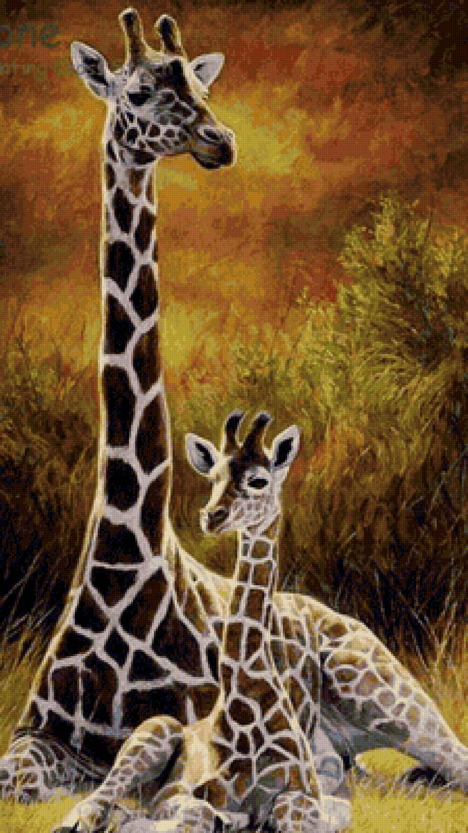 Саванна - жираф, саванны, мать и дитя - предпросмотр