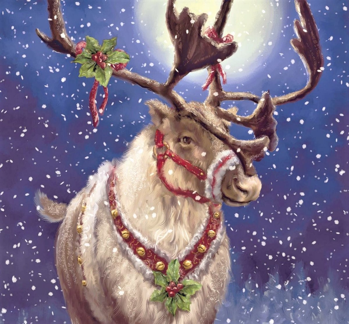 Reindeer - оригинал