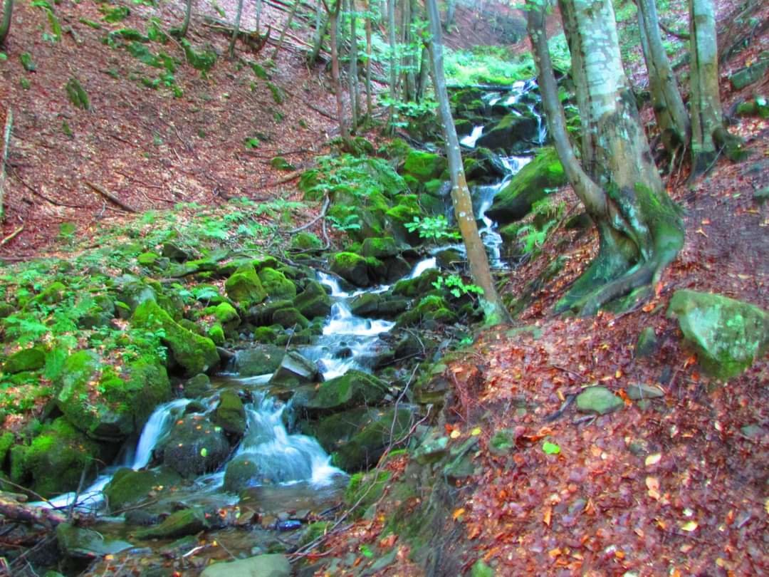 Горная речка - речка - оригинал