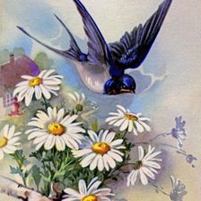 Схема вышивки «Golondrinas»