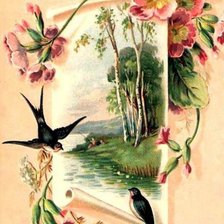 Схема вышивки «golondrinas2»