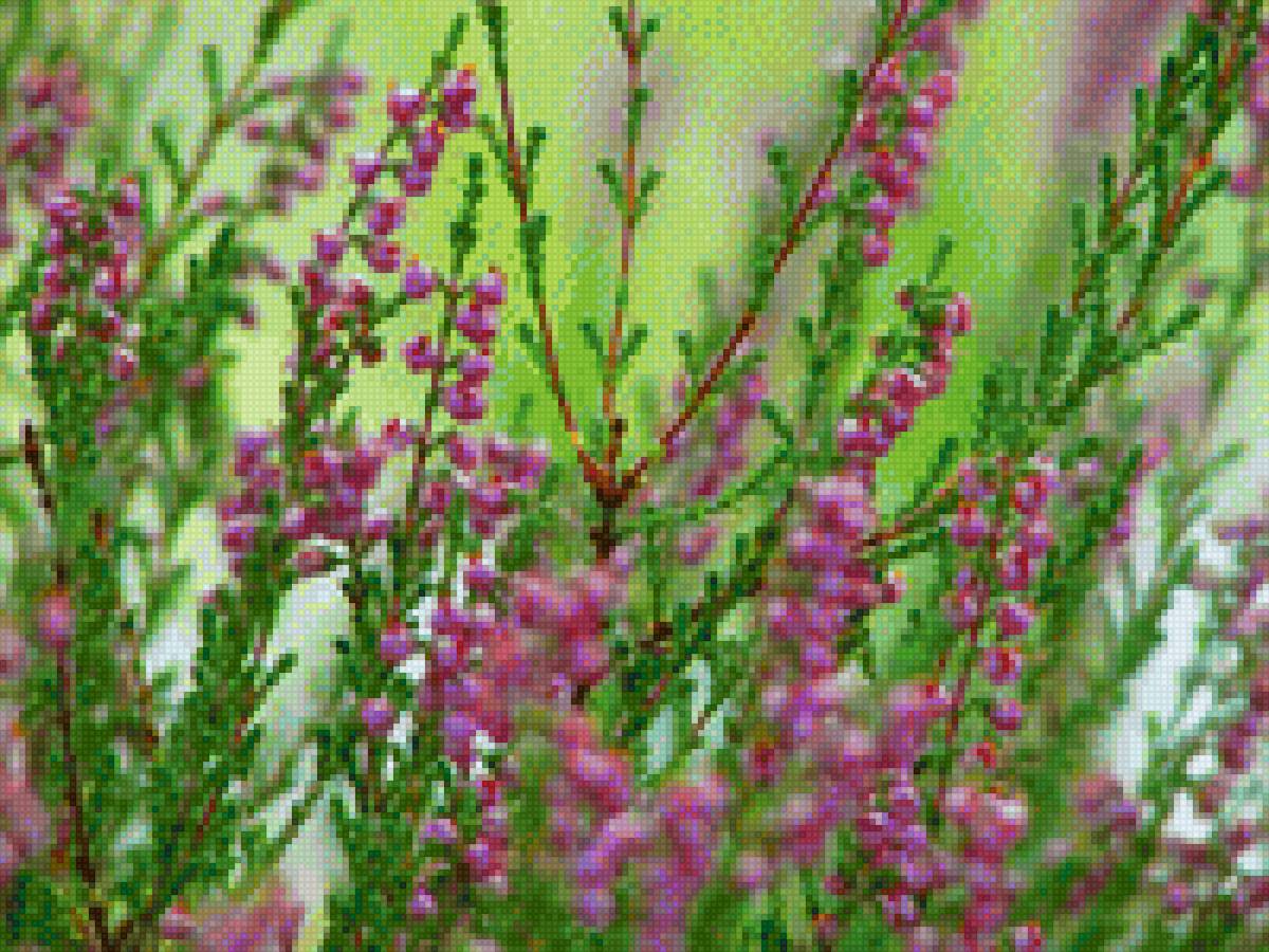 Цветочки - предпросмотр