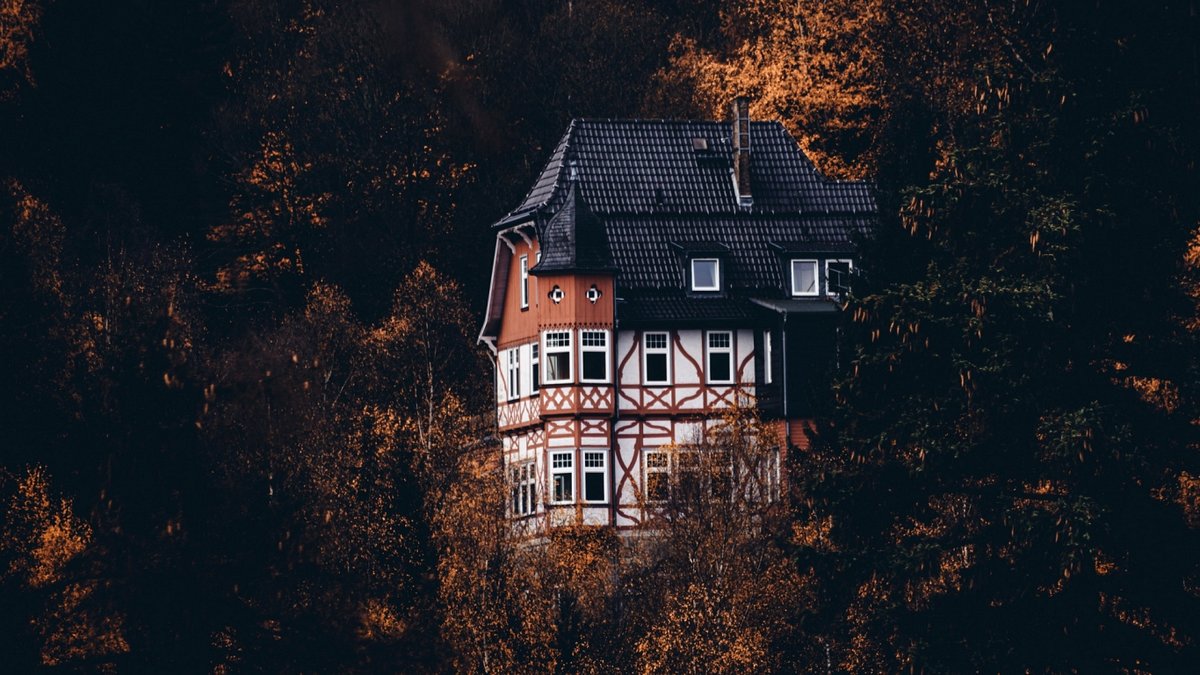 дом - лес, пейзаж, осень, дом - оригинал