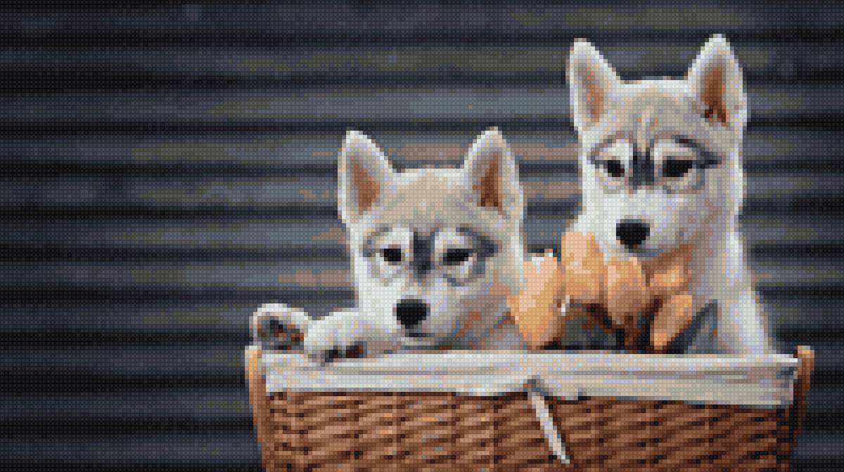 собачки - собаки, тюльпаны, цветы, малыши, пнк, хаски - предпросмотр