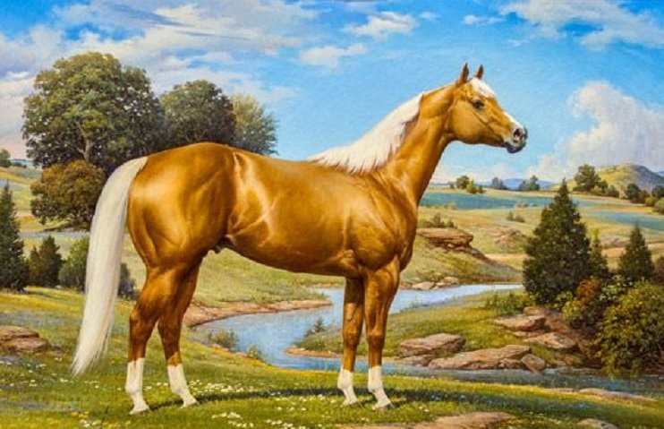 Cavalo. - animais. - оригинал