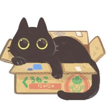 Схема вышивки «Кот в коробке»