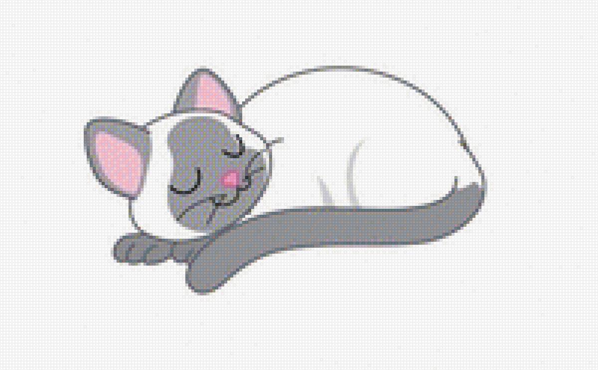 Сиамский котик - кот - предпросмотр